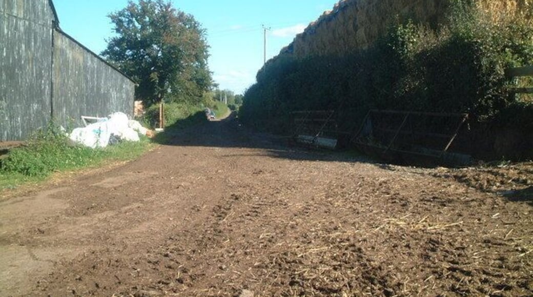 Farm Road at Ingardine