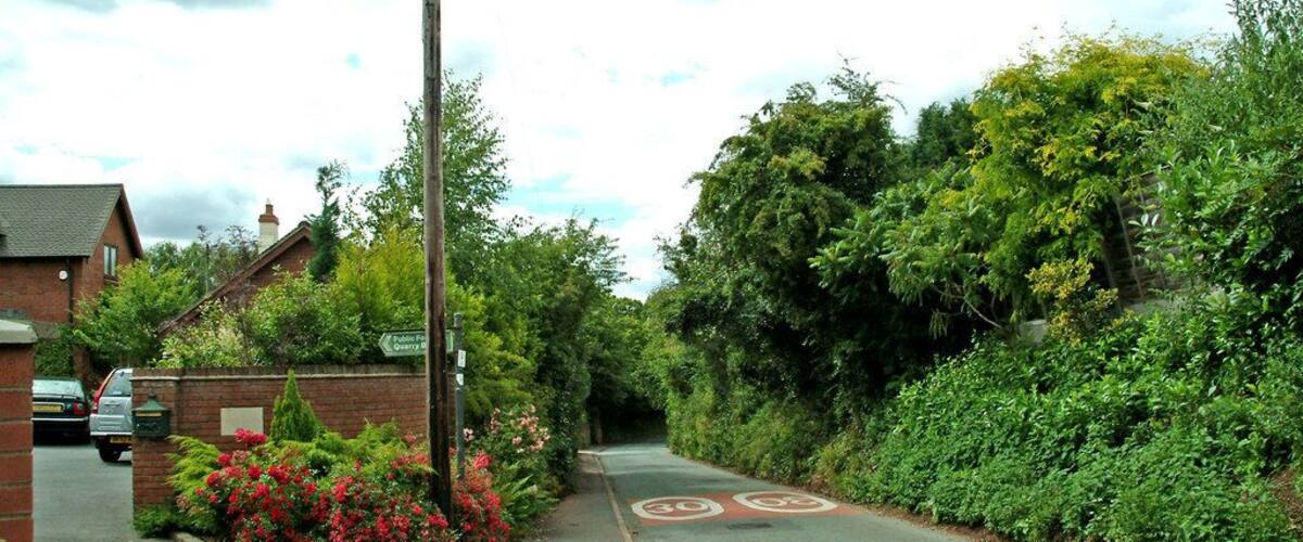A narrow residential street with a 60 mph speed limit sign, surrounded by lush greenery and houses.