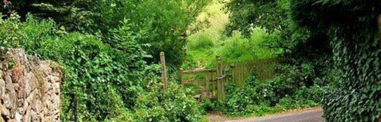 Uma estrada rural estreita ladeada por muros de pedra e vegetação densa.