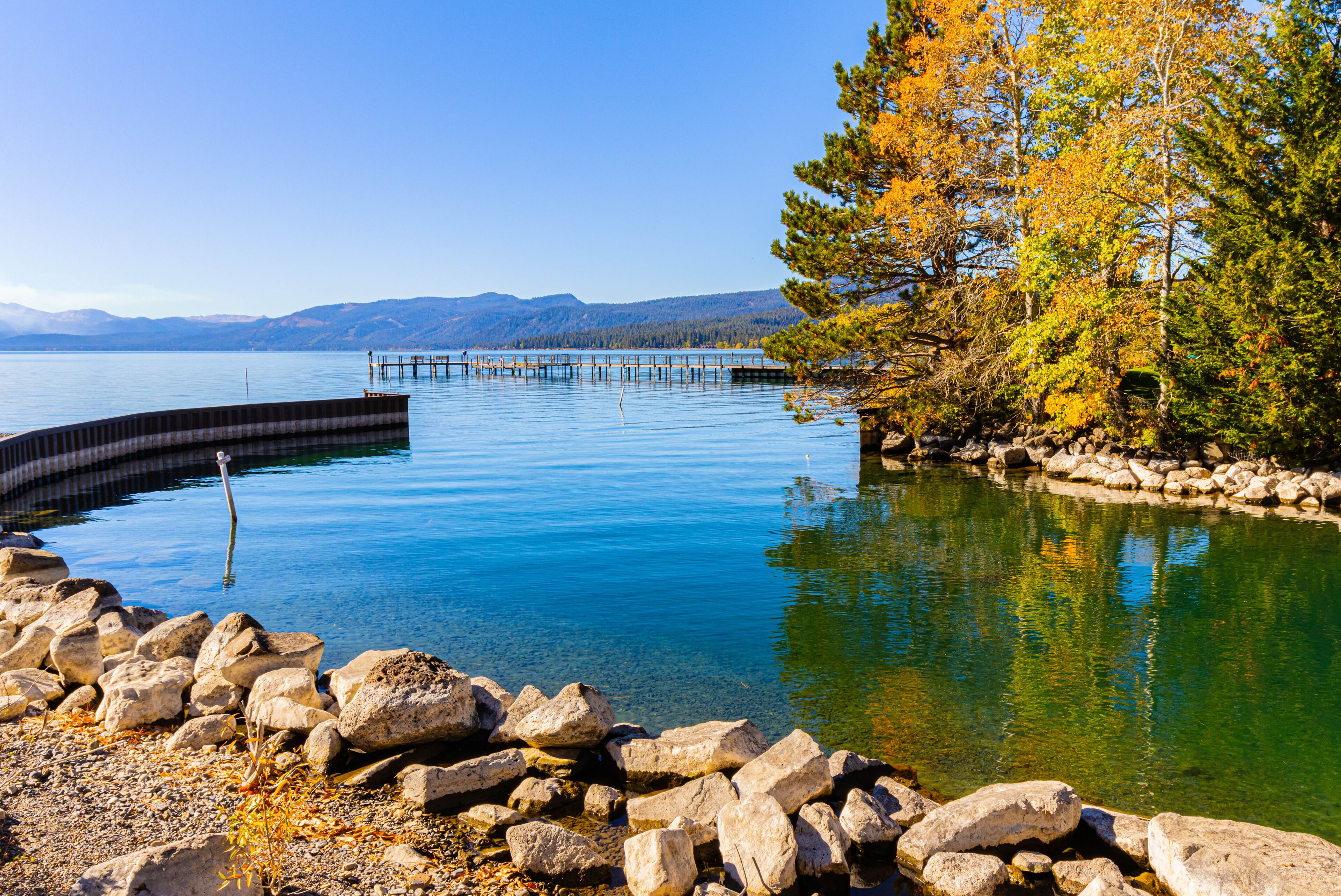 レイク フォレスト