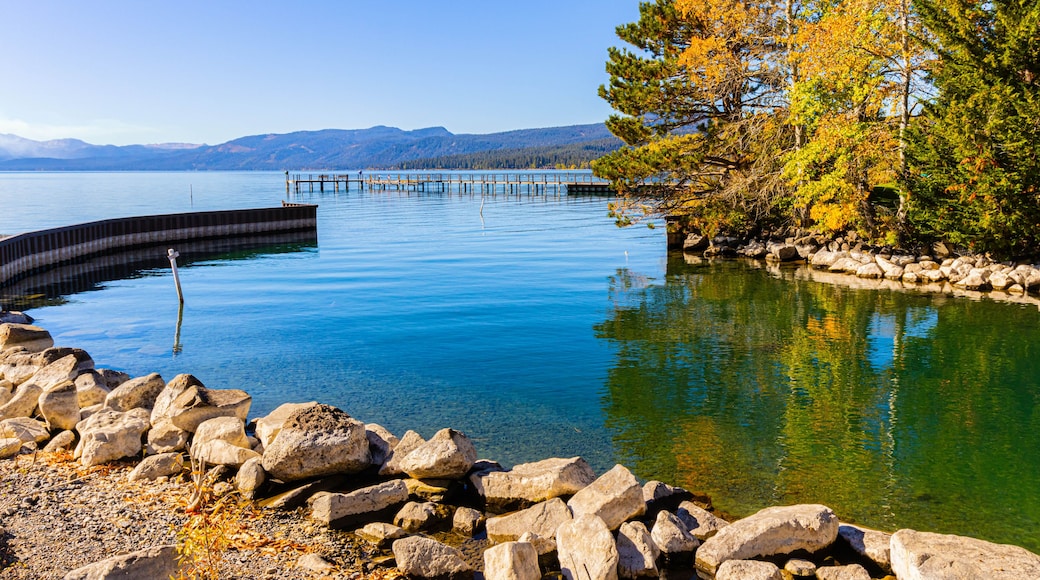 レイク フォレスト