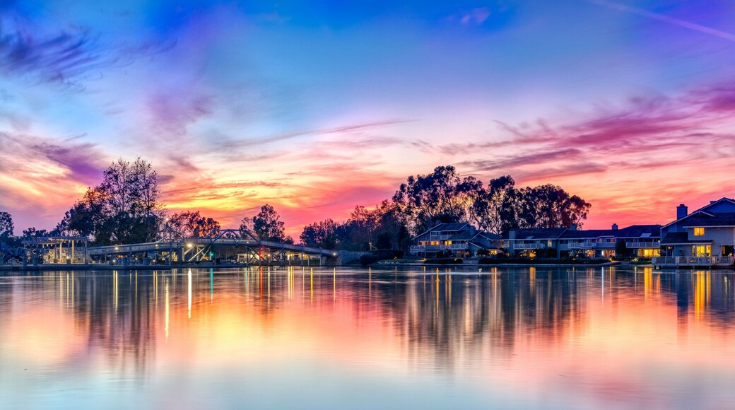 A lake in Irvine, California