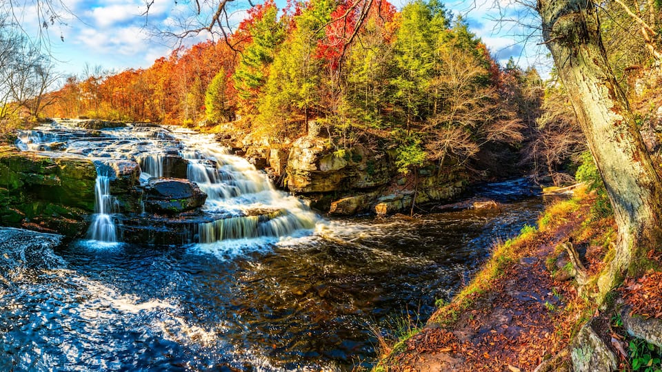 A waterfall in a forest with autumn-colored trees.
