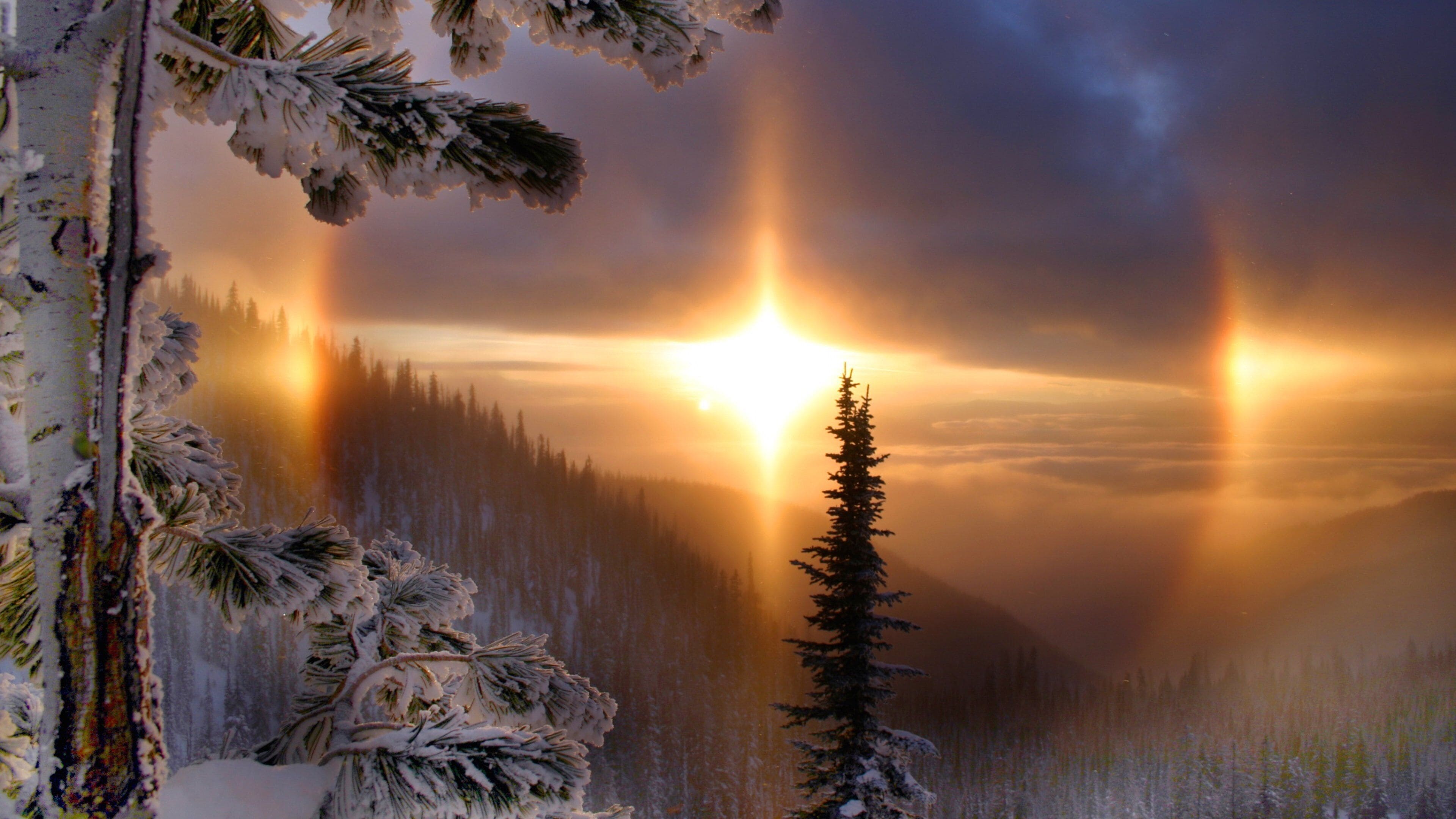 Whitefish featuring snow, a sunset and landscape views