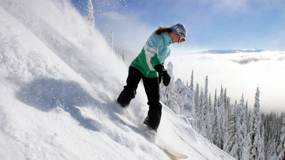 Un snowboarder en una pendiente nevada con árboles cubiertos de nieve al fondo.