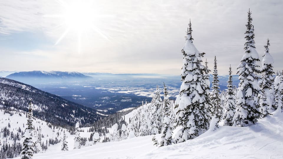 A snow-covered mountain landscape with evergreen trees and distant mountains under a clear sky.