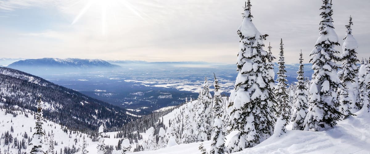 A snow-covered mountain landscape with evergreen trees and distant mountains under a clear sky.