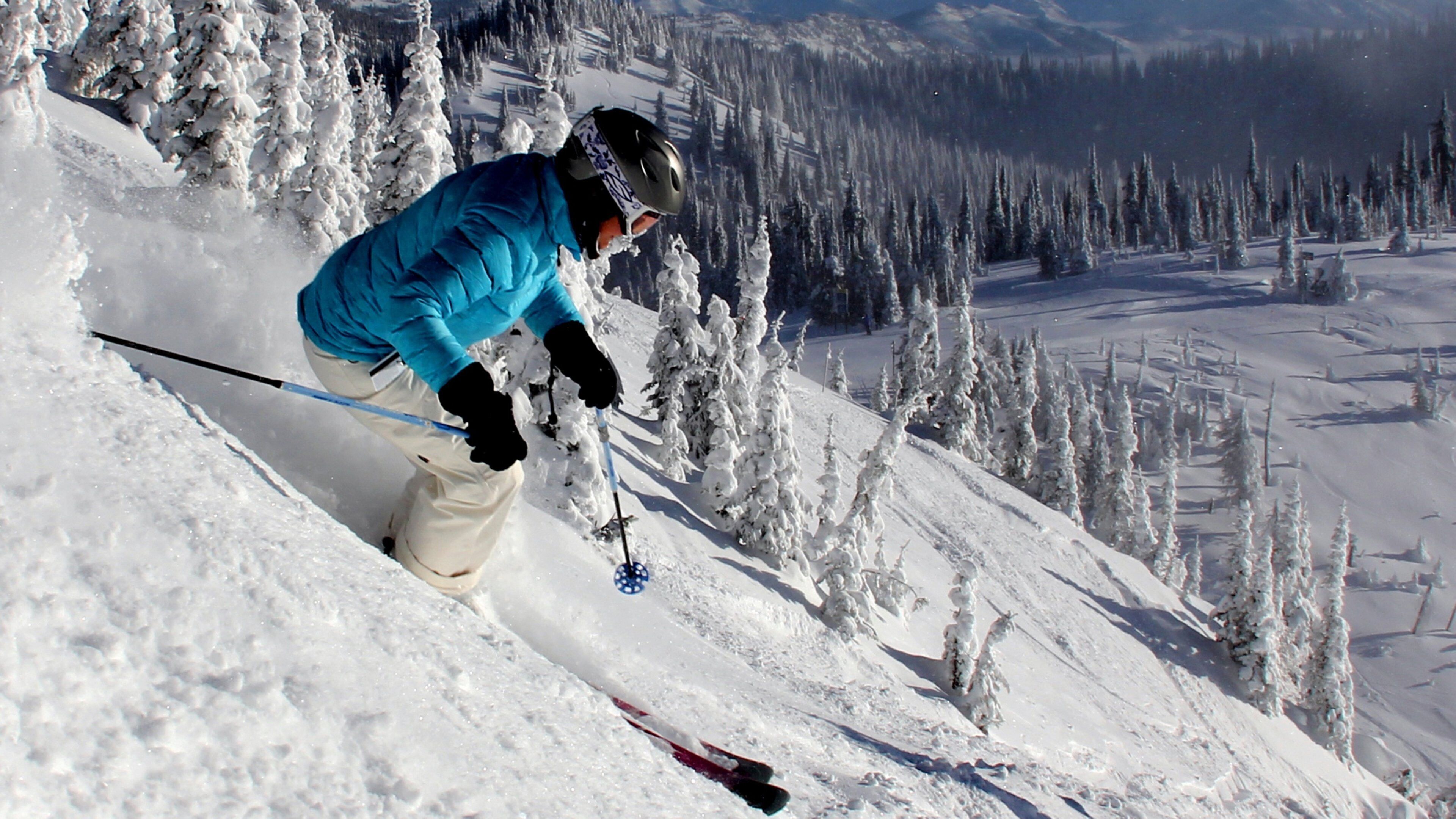 Whitefish showing forest scenes, mountains and snow skiing