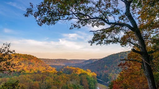 Mammoth Cave National Park