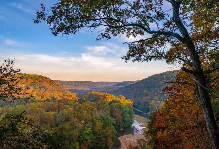 Mammoth Cave National Park