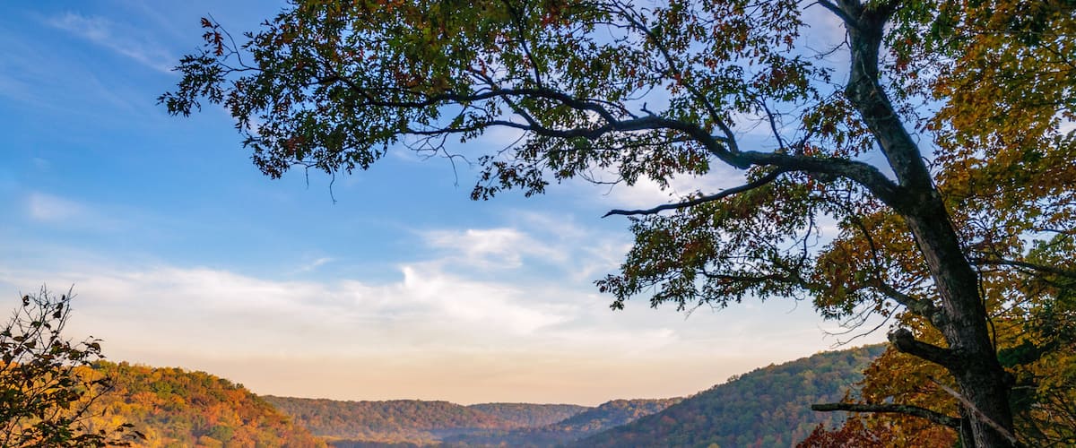A valley with a river, surrounded by autumn-colored trees and hills.