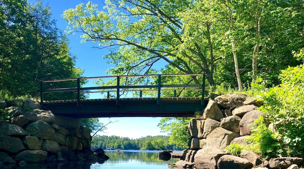 Kayaking on Norton pond in Lincolnville,Me. This is the outlet that flows into Megunticook Lake in Camden. 22June18