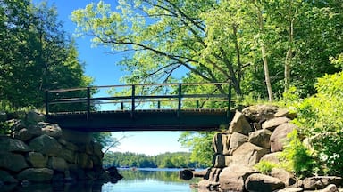 Kayaking on Norton pond in Lincolnville,Me. This is the outlet that flows into Megunticook Lake in Camden. 22June18