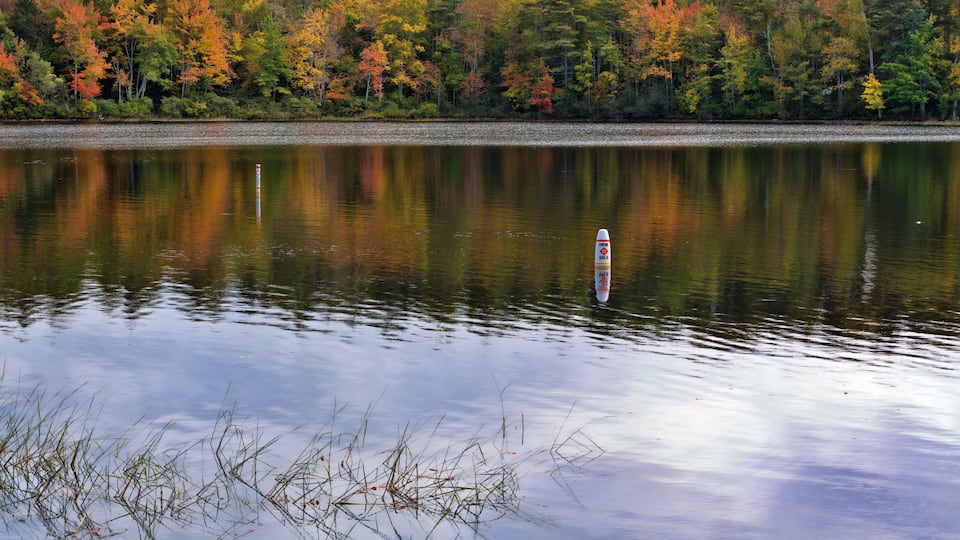A calm lake with a buoy in the center, surrounded by autumn-colored trees.