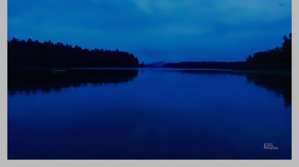 Pitcher’s Pond in Blue Hour. #BVSBlue It was like that every night while we were there during the summer of 2016.