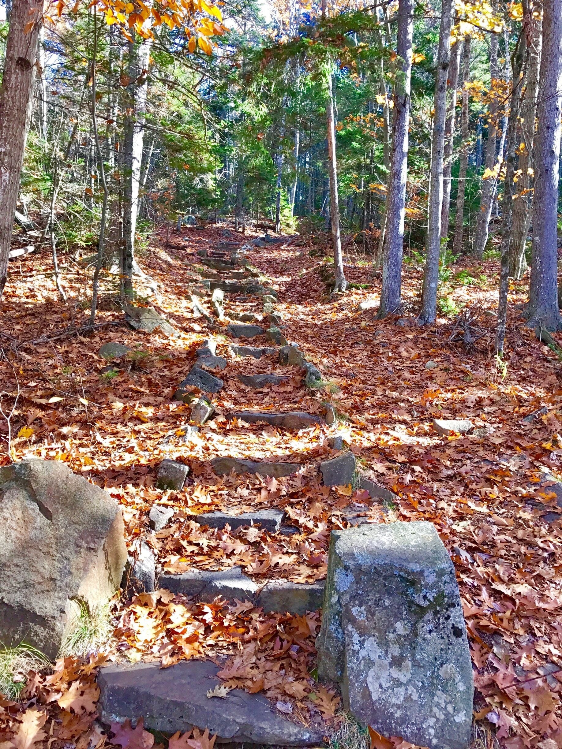 Ascending the trail up Bald Rock Mountain. Not only is the hike up nice but from the top you overlook the Atlantic with views of Isleboro, Vinalhaven & North-haven islands. 