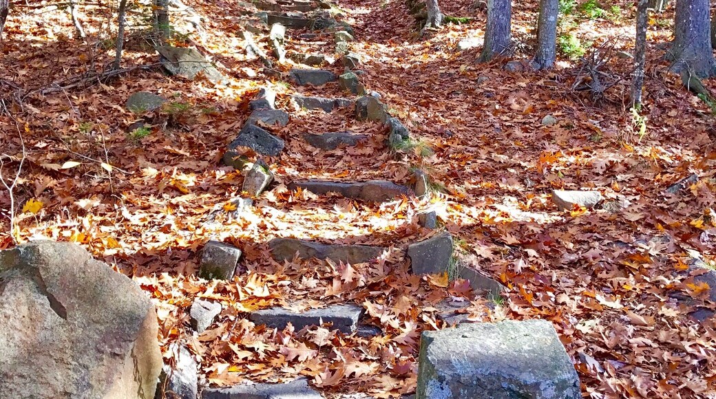 Ascending the trail up Bald Rock Mountain. Not only is the hike up nice but from the top you overlook the Atlantic with views of Isleboro, Vinalhaven & North-haven islands.