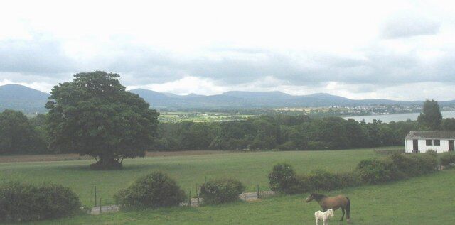 Farmland and horses at Ty-poeth, Brynsiencyn