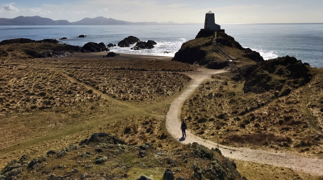 A coastal landscape with a lighthouse on a rocky outcrop, a dirt path leading to it, and the ocean in the background.