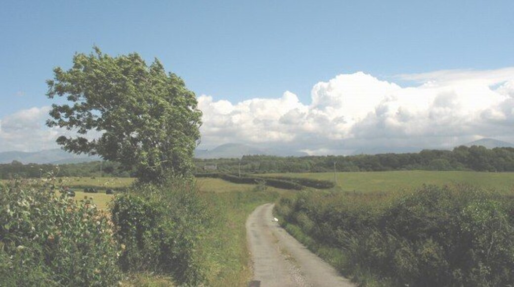 Road south towards Brynsiencyn