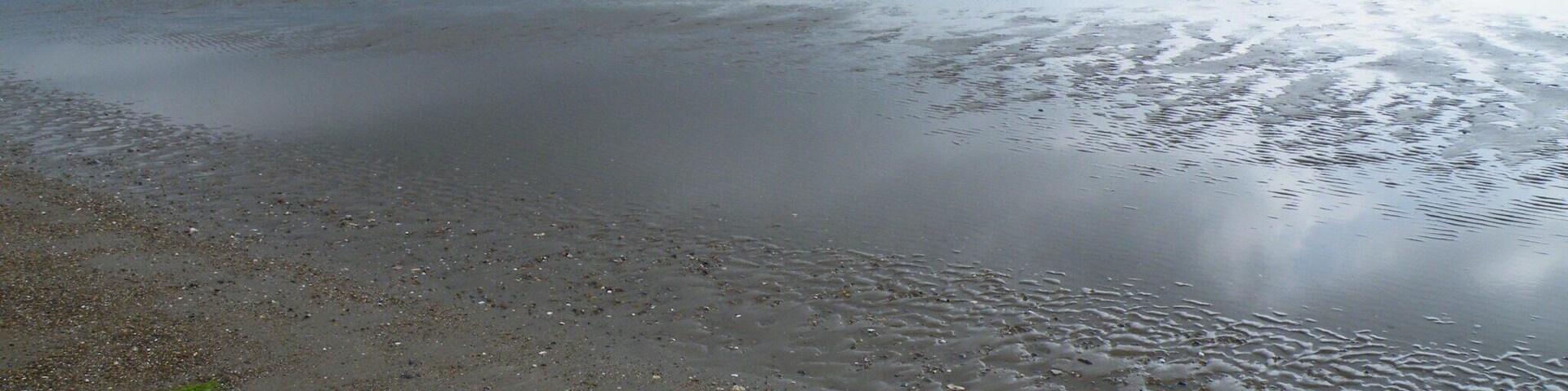 A beach with wet sand and a calm sea under a cloudy sky.