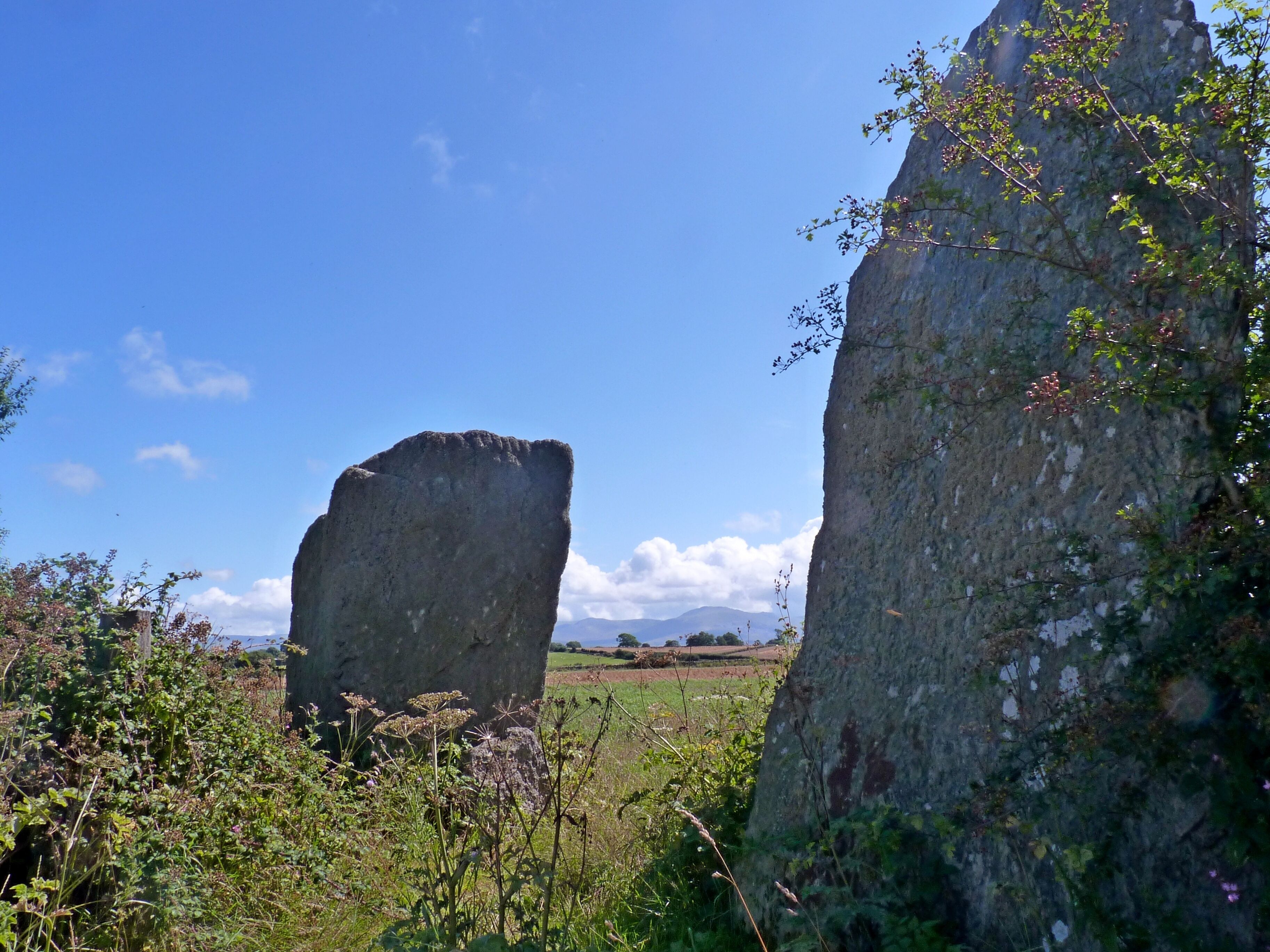 Bryngwyn Standing Stones, two large standing stones in Anglesey