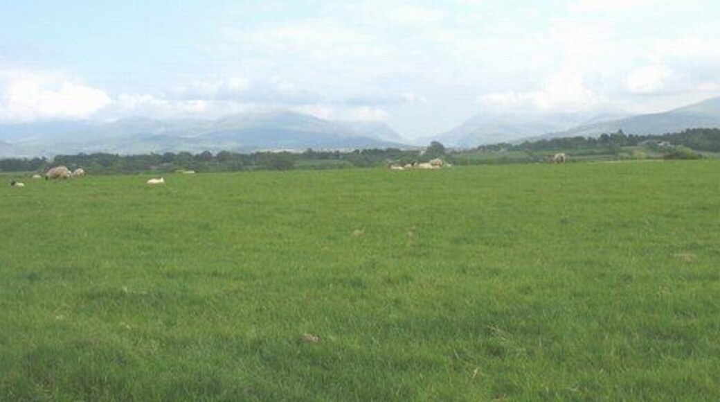 The mountains of North Snowdonia form the background to this sheep grazed pasture land