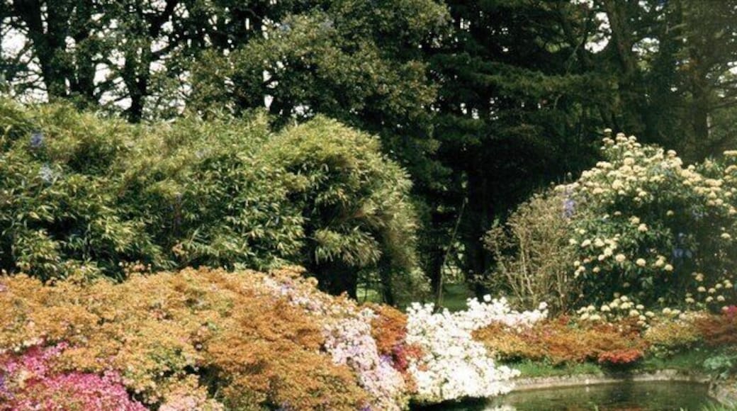 Boconnoc Estate Typical Cornish country estate scene, just after the main spring flowering
