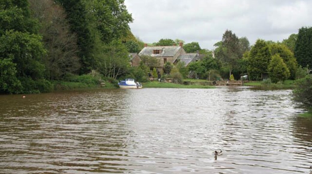 River Lerryn at high tide Taken from the car park in the centre of this picturesque village. The river is tidal up to the bridge in SX1457