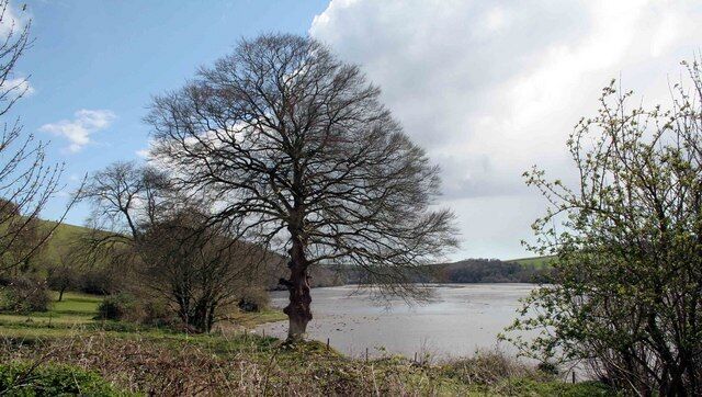 The River Fowey at St Winnow