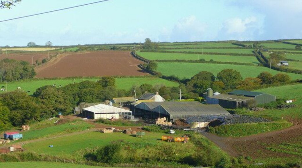 Babbington Farm A shot which takes in all of a typical west-country livestock farm.