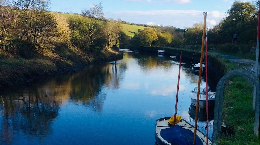 A very still Afternoon at the river Fowey in Lostwithiel Cornwall