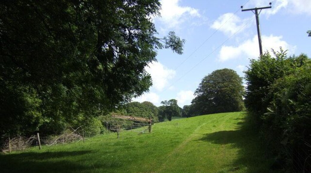Field east of Boconnoc