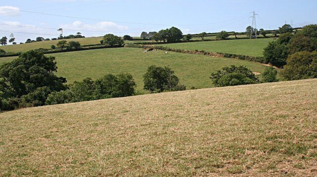 Pastoral Valley. High voltage powerlines span the valley. It seems you cannot go far in the mid Cornwall countryside without encountering a set of powerlines.