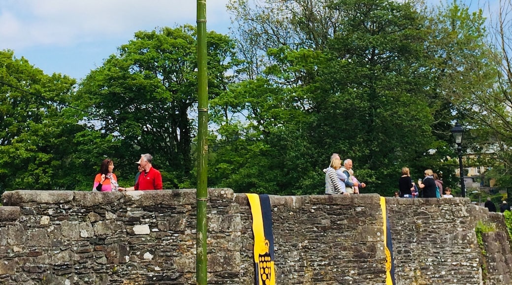 The Cornish flag proudly flying high above the river Fowey