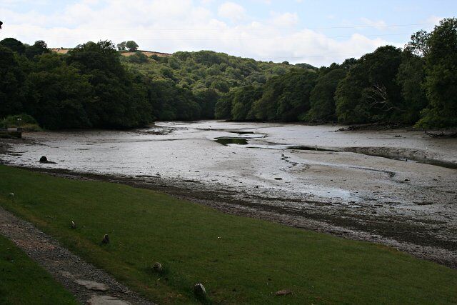 A river with a grassy bank and trees in the background.