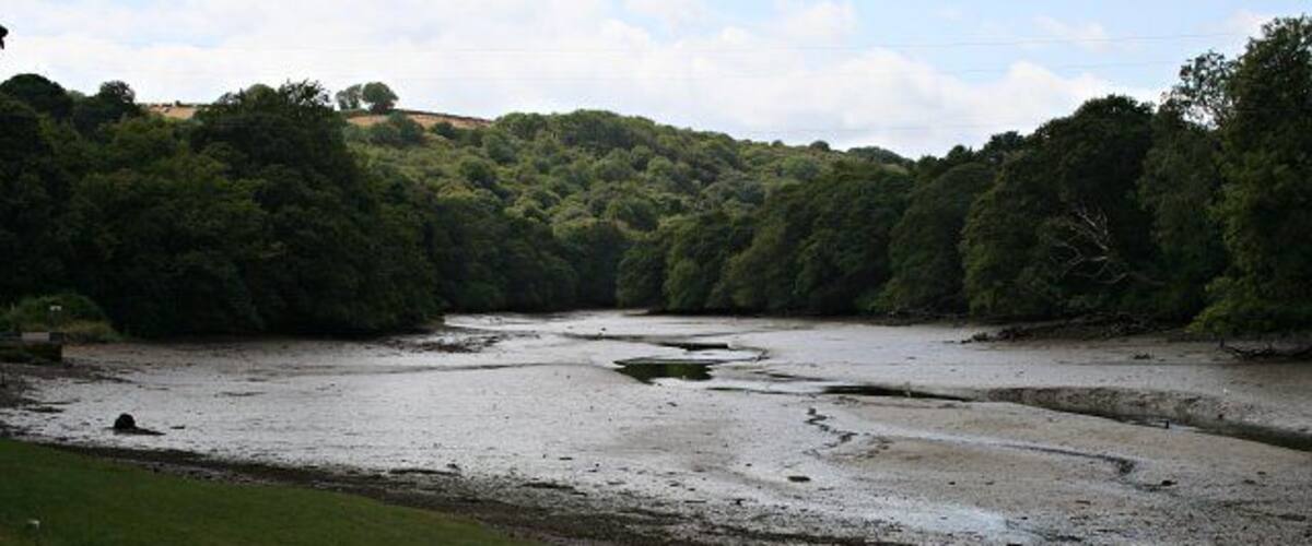 A river with a grassy bank and trees in the background.