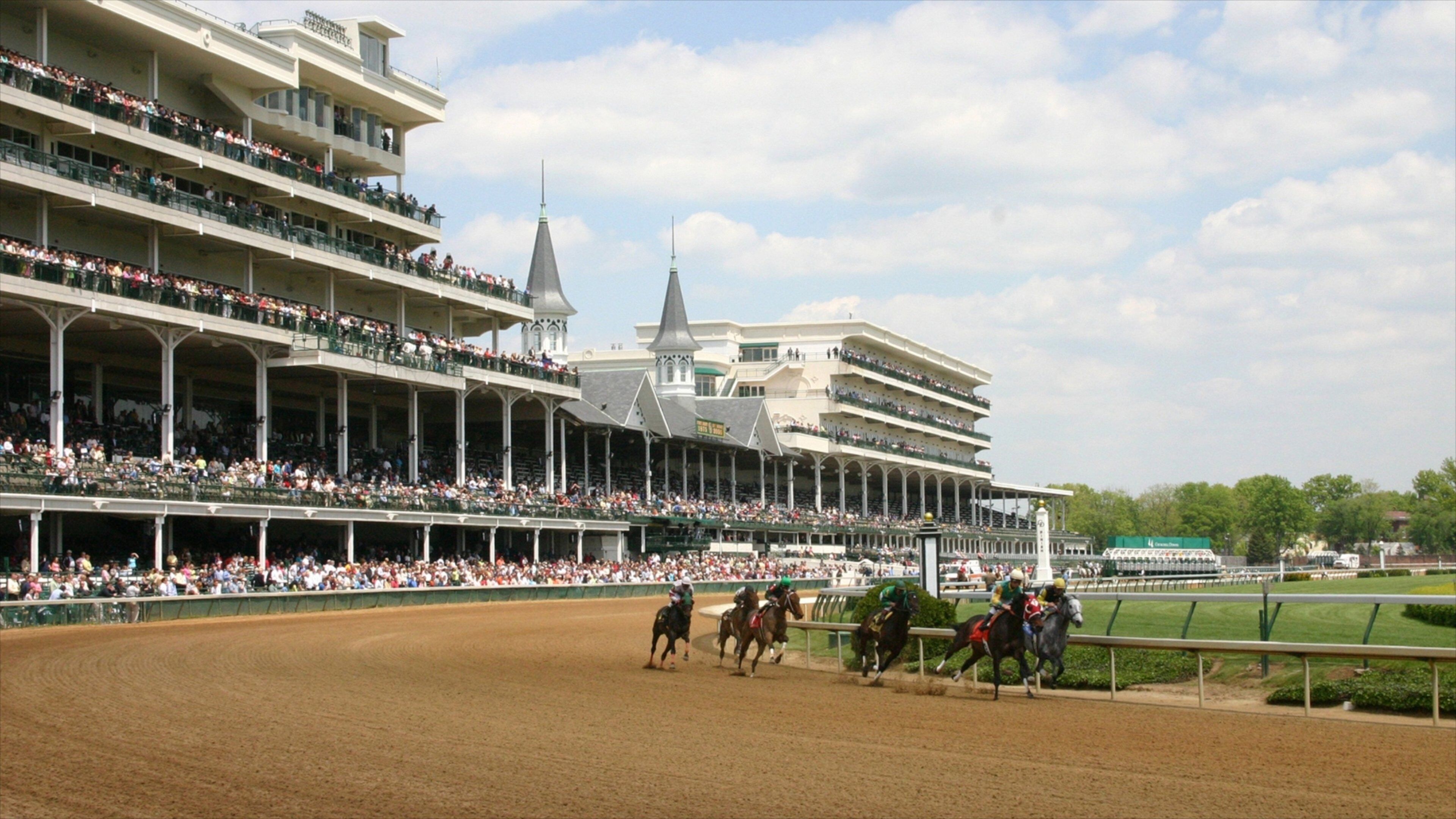 루이빌 을 보여주는 스포츠 이벤트, 귀엽고 친근한 동물 과 승마