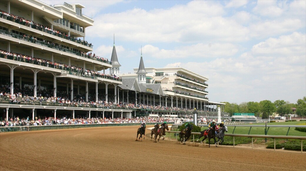 ๋ฃจ์ด๋น ์ ๋ณด์ฌ์ฃผ๋ ์คํฌ์ธ ์ด๋ฒคํธ, ๊ท์ฝ๊ณ ์น๊ทผํ ๋๋ฌผ ๊ณผ ์น๋ง