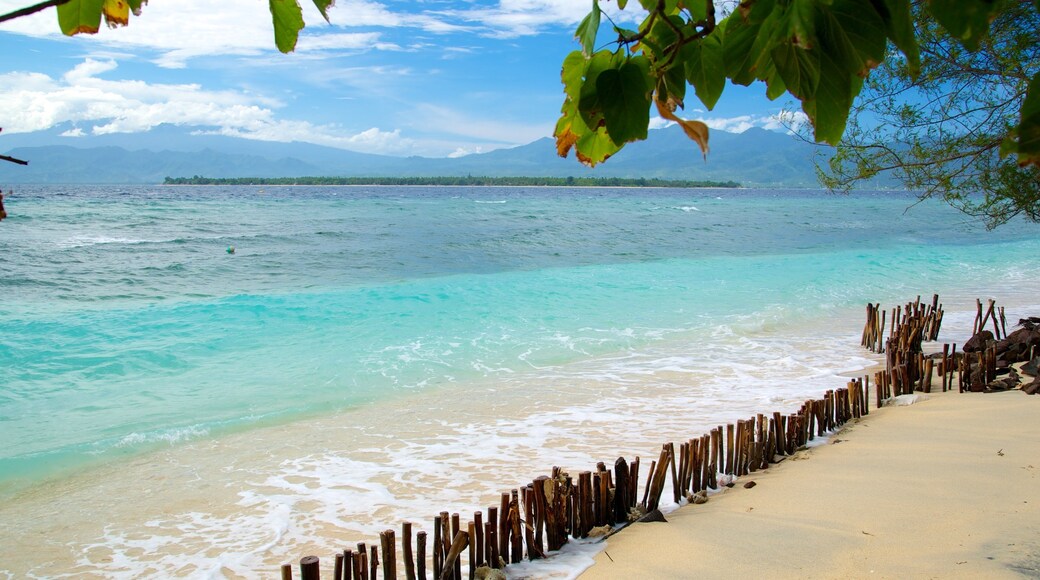 Lombok showing a beach