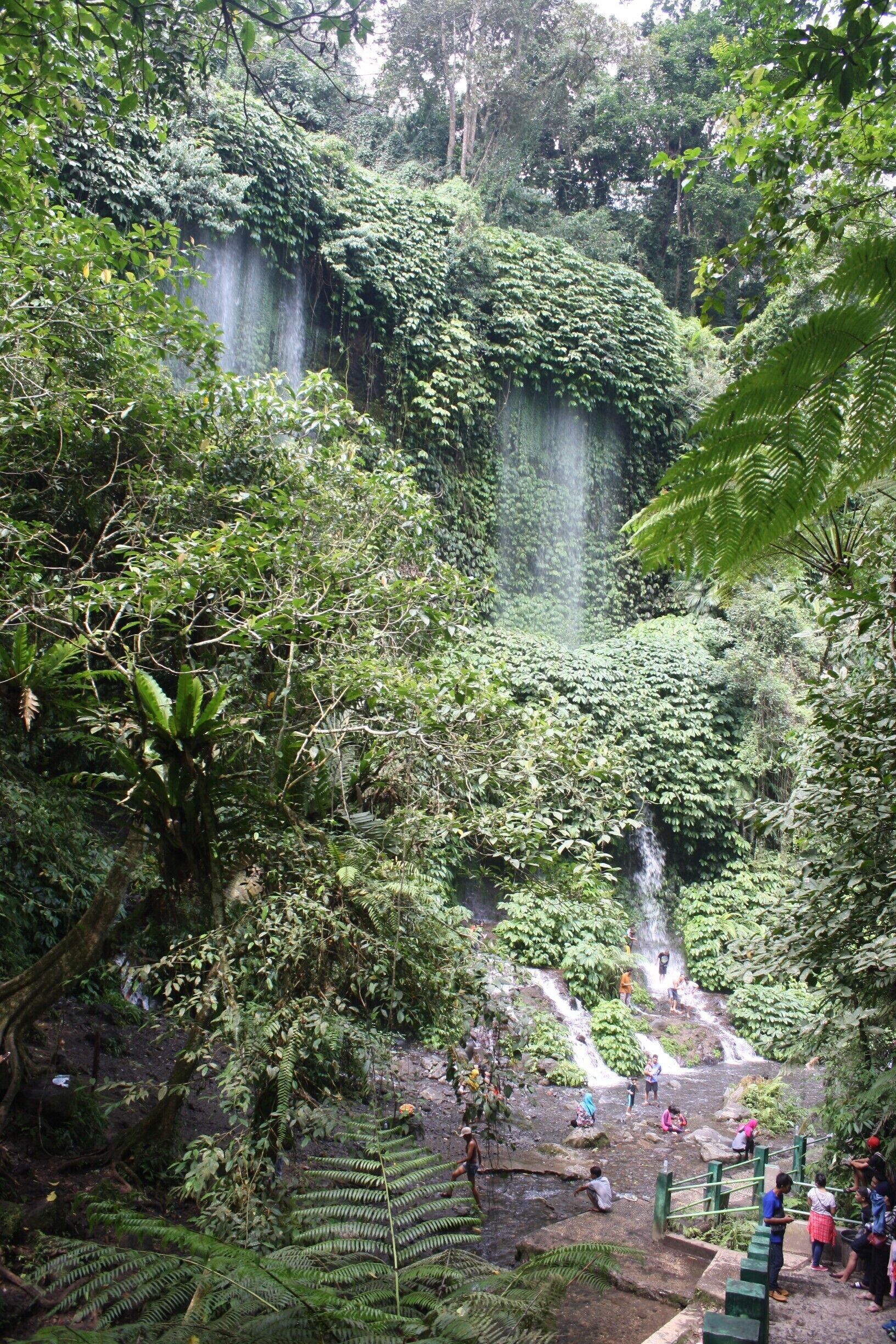 Waterfalls entrenched in forestry #Green