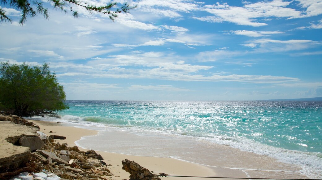 Indonesia which includes landscape views and a sandy beach