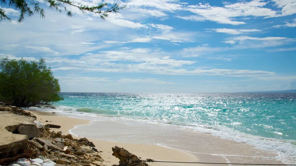 A beach with turquoise water, sandy shore, and scattered rocks.