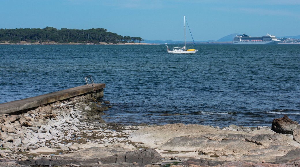 Two different ways to enjoy the life.