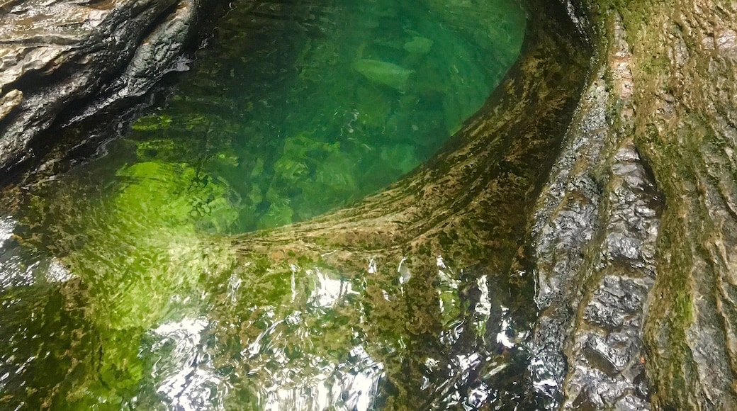 Ice cold. Beautiful scene.