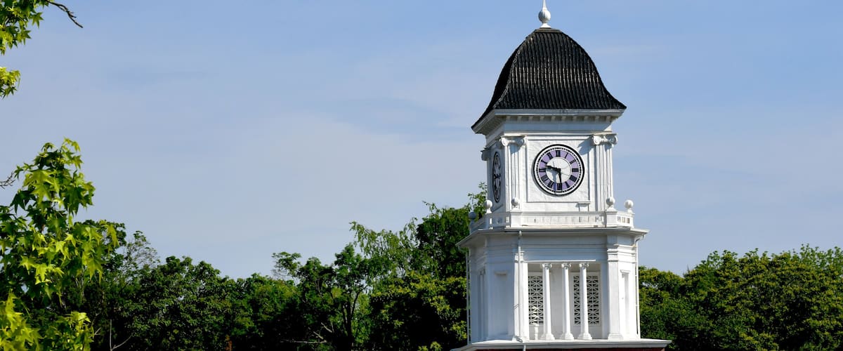 A white clock tower with a black roof and a clock face, surrounded by green trees.
