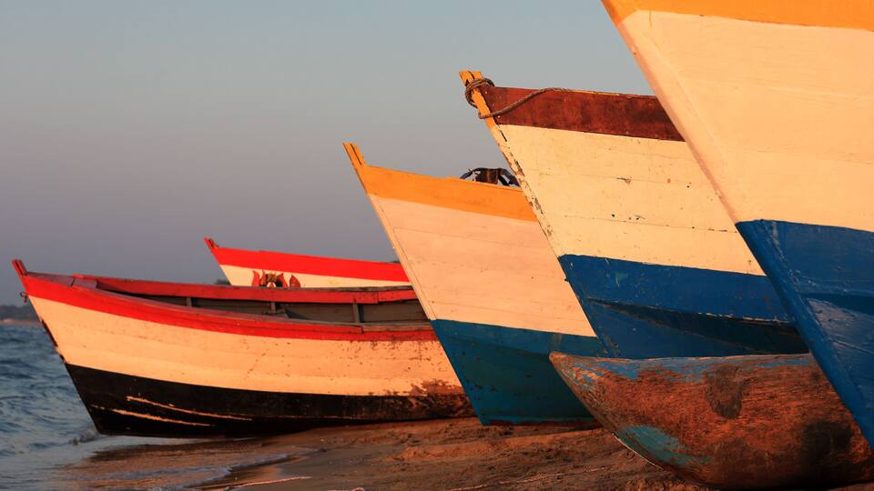 A row of colorful boats tied to a sandy beach.