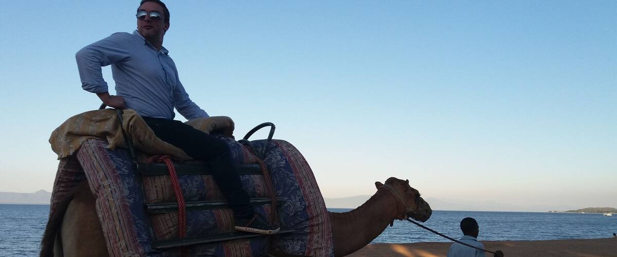 A person riding a camel on a beach with the sea in the background.