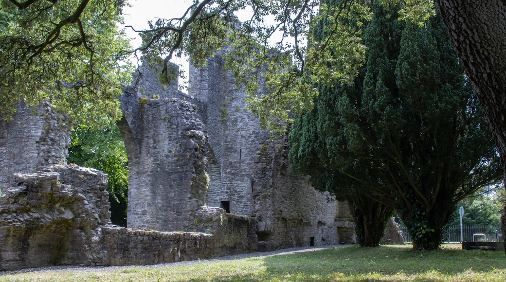 Maynooth castle, County Kildare, Ireland