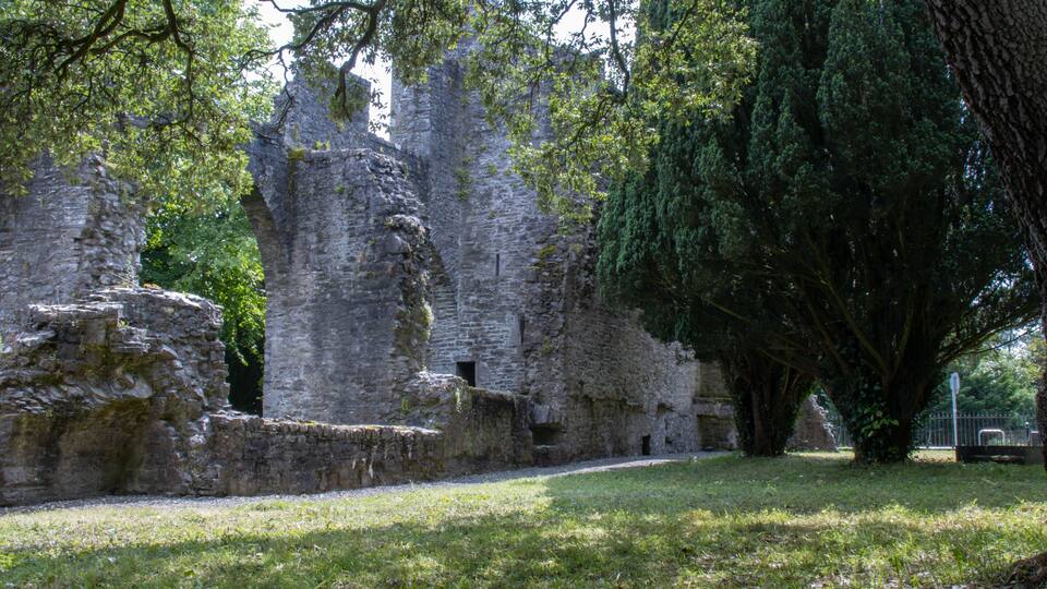Ancient stone ruins with overgrown vegetation and a large tree in the foreground.